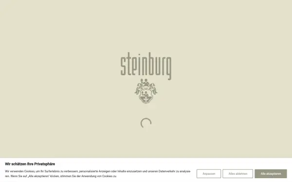 steinburg.com