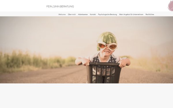 www.feinsinn-beratung.at