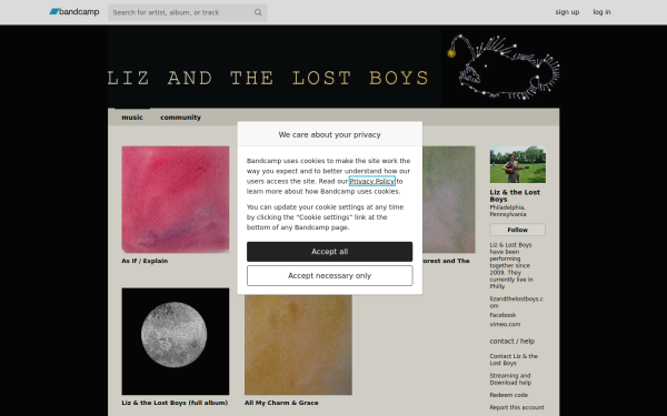 lizandthelostboys.bandcamp.com