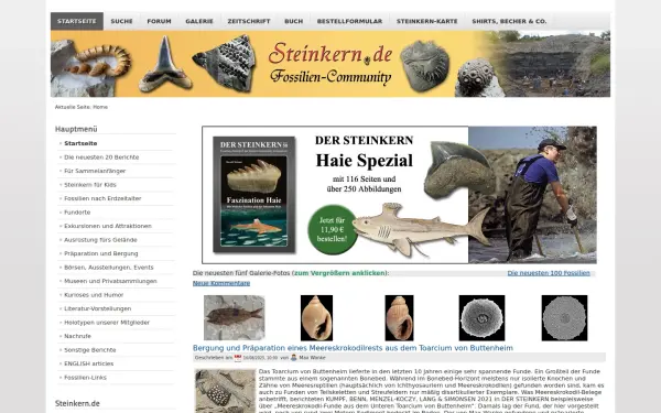 steinkern.de