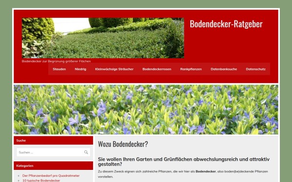 www.bodendecker-ratgeber.de