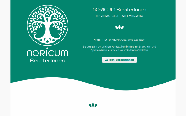 www.noricum-beraterinnen.at