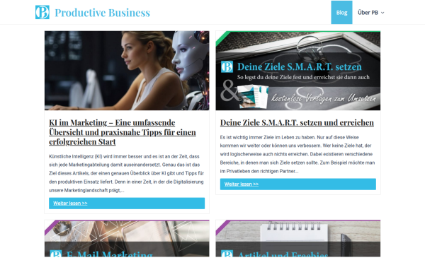 productive-business.com