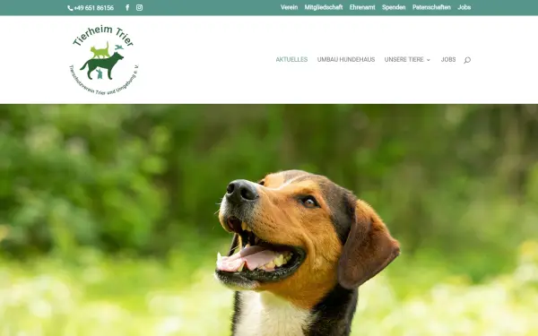 www.trier-tierheim.de
