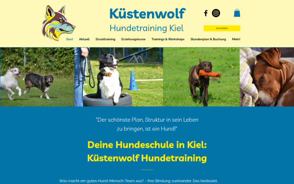 www.kuestenwolfhundetraining.net
