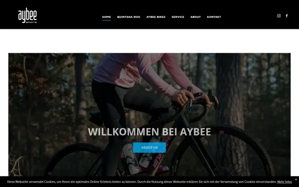 www.aybee.de