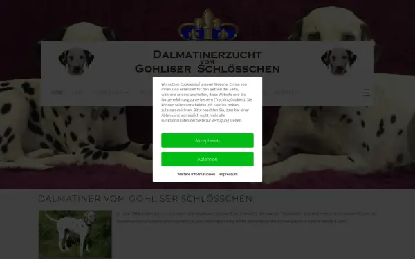 dalmatiner-leipzig.de