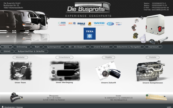 www.diebusprofis.com