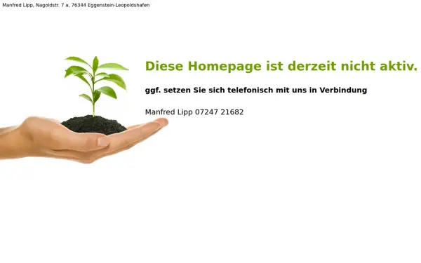 manfredlipp.de
