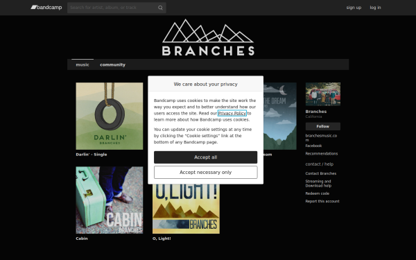 soundslikebranches.bandcamp.com