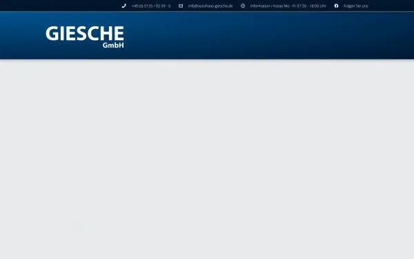 giesche-gmbh.de