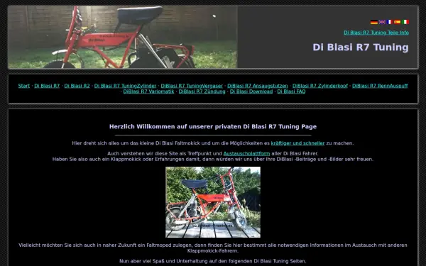 di-blasi-r7-tuning.de
