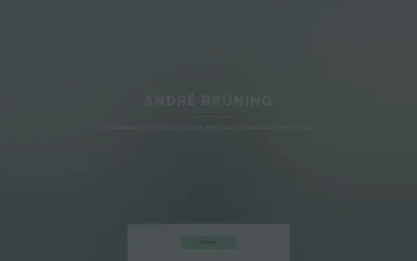 www.andrebruening.de