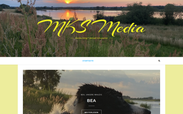 mks-media.de