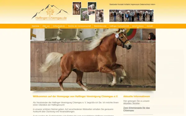 www.haflinger-chiemgau.de