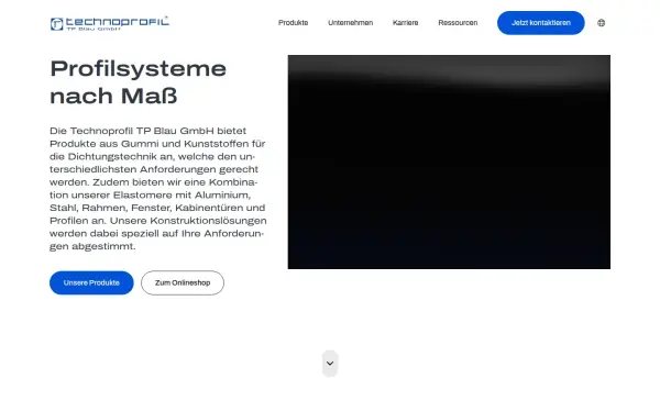 www.technoprofil.de