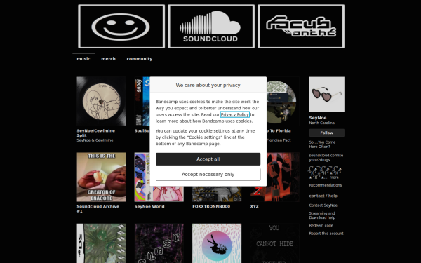 seynoe.bandcamp.com