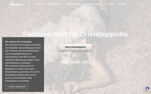 amirteppiche.com