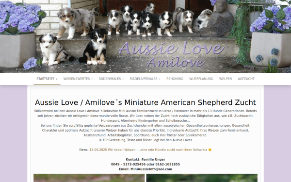 www.aussielove.de