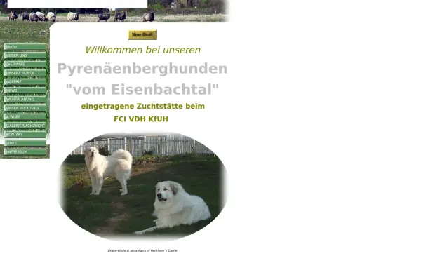 pyrenaenberghunde-westerwald.de