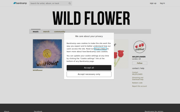 wildflowermusic.bandcamp.com