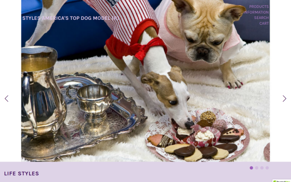 shop.americastopdogmodel.com