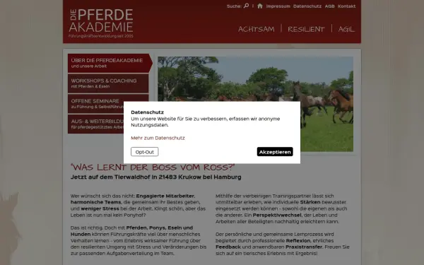 die-pferdeakademie.de