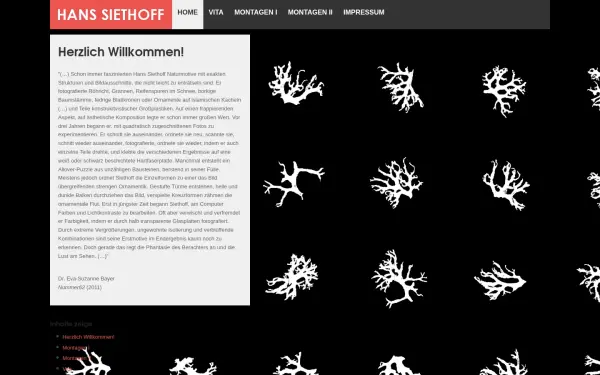 hans-siethoff.de