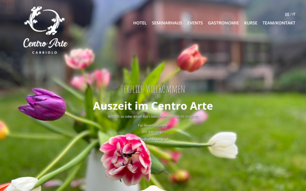 www.centroarte.ch