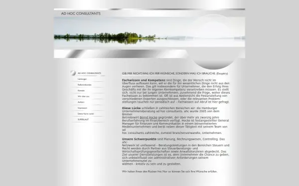 ad-hoc-consultants.de