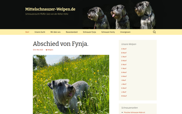 mittelschnauzer-welpen.de