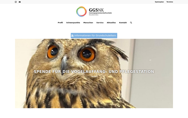 ggsnk.de