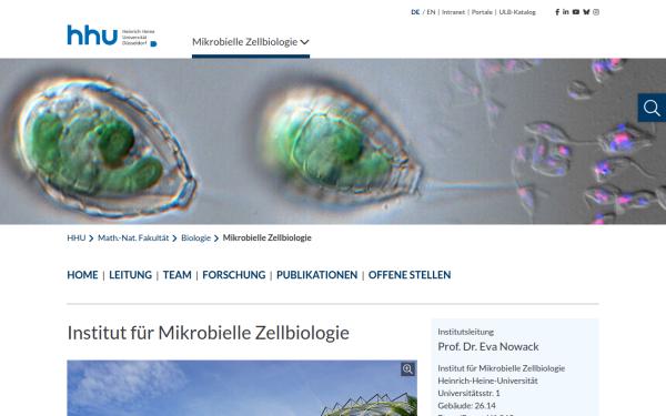 www.mikrobielle-zellbiologie.hhu.de