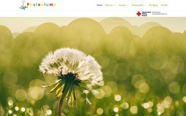 pusteblume-nordhorn.de