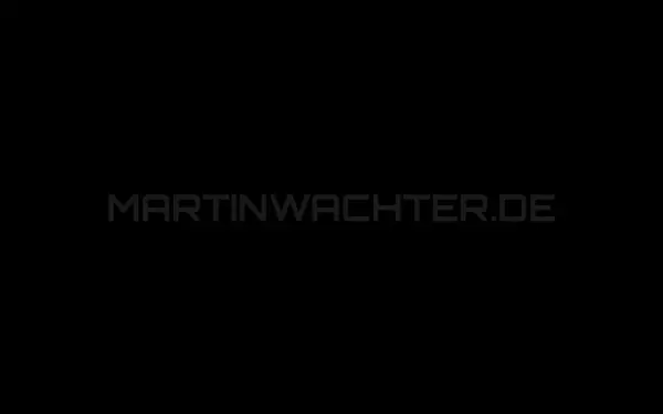 martinwachter.de