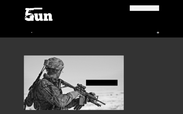 5gun.de