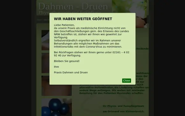 dahmen-druen.de