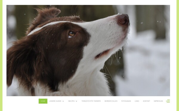 bordercolliejoy.de