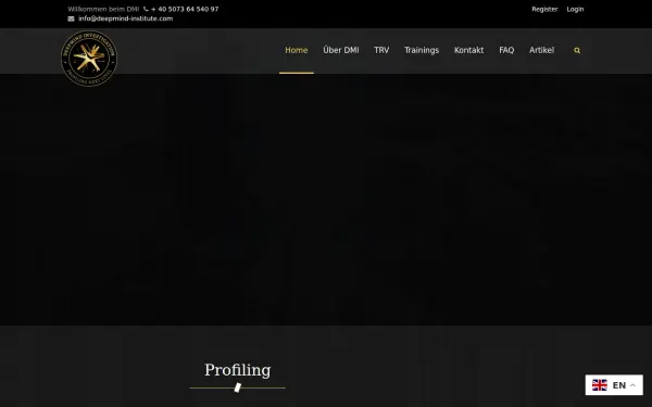 deepmind-institute.com