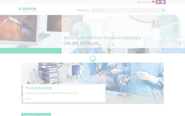 endoskopie.bbraun.com