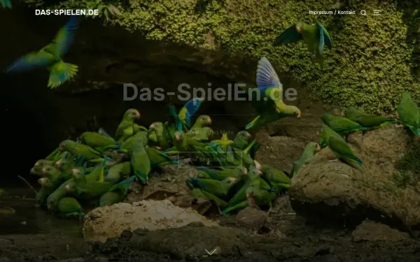 das-spielen.de