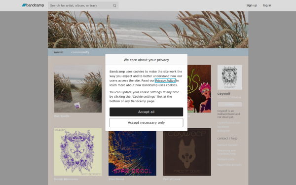 coywolfsound.bandcamp.com