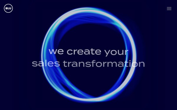 bluagency.net