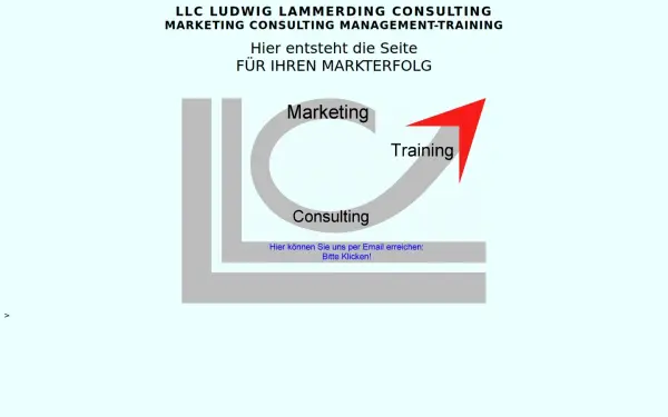 llc-consulting.de