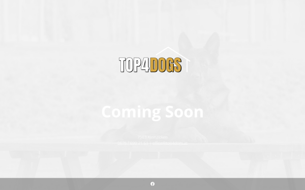 www.top4dogs.at