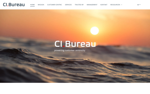 www.cibureau.de