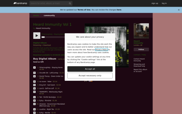 heardimmunity.bandcamp.com