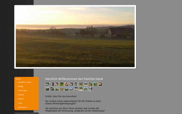 www.fohlenaufzucht-hack.de