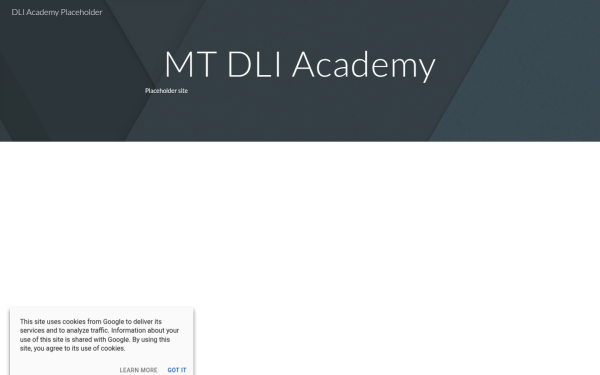 www.mtdli.academy