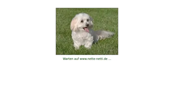 www.annette-engelmann.de